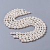 Natural Cultured Freshwater Pearl Beads Strands PEAR-P002-15-4