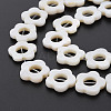 Freshwater Shell Beads Frames Strands X-SHEL-T009-14A-4