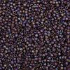 TOHO 8/0 Round Beads X-SEED-TR08-0166BF-2