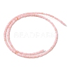 Natural Freshwater Shell Beads Strands SHEL-P017-01A-09-2