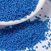 MIYUKI Round Rocailles Beads X-SEED-G009-RR4484-1