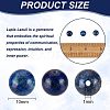 Natural Lapis Lazuli Beads Strands G-OC0001-76-2