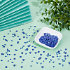 300Pcs 2 Styles 2-Hole Baking Paint Glass Seed Beads SEED-ME0001-08A-4