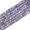 Natural Freshwater Shell Beads Strands BSHE-T009-01-2