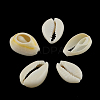 Natural Mixed Cowrie Shell Beads BSHE-S051-01-3