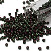 TOHO 6/0 Round Beads SEED-TR06-2204-1