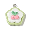Opaque Resin Pendants RESI-S403-04D-1