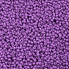 11/0 FGB Grade A Baking Paint Glass Seed Beads X-SEED-N001-A-1052-2