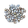 60Pcs 10G Baking Paint Picasso Glass Seed Beads GLAA-V001-06D-1