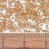MIYUKI Delica Beads SEED-X0054-DB1101-4