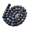 Natural Lapis Lazuli Beads Strands G-J396-8mm-2
