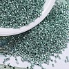 MIYUKI Delica Beads SEED-MY11-DB0416-1