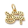 Brass Micro Pave Clear Cubic Zirconia Charms ZIRC-A013-24G-2