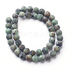 Natural African Turquoise(Jasper) Bead Strands X-G-G957-25-8mm-2