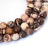 Natural Zebra Jasper Round Bead Strands G-E334-4mm-12-1