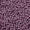 MIYUKI Round Rocailles Beads SEED-X0055-RR1867-3