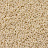 MIYUKI Round Rocailles Beads SEED-G007-RR0487-3