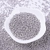 MIYUKI Delica Beads X-SEED-J020-DB0429-2