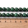 Natural Fuchsite Beads Strands G-K393-A02-8mm-5