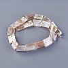 Natural Shell Beads Strands Y-SSHEL-L009-02-2
