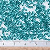 MIYUKI Round Rocailles Beads X-SEED-G007-RR2405-4