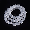 Transparent Frosted Glass Beads Strands FGLA-S001-02F-2