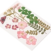 Pressed Dried Flowers DIY-YWC0001-95-4