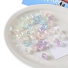Opaque Acrylic European Beads OACR-F010-14-1