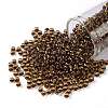 TOHO Round Seed Beads SEED-JPTR08-2152S-1