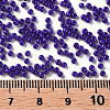 11/0 FGB Grade A Baking Paint Glass Seed Beads X-SEED-N001-A-1010-3