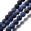 Natural Sodalite Beads Strands G-E110-4mm-3-2