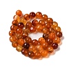 Dyed & Heated Natural Agate Beads Strands G-P539-D01-07-3