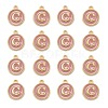 Golden Plated Alloy Enamel Charms ENAM-S118-07C-2