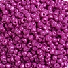 Baking Paint Glass Seed Beads SEED-US0003-4mm-K21-3