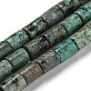 Natural African Turquoise(Jasper) Beads Strands G-Q1008-A09-1