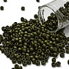 TOHO 6/0 Round Beads SEED-XTR06-0617-1