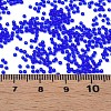 15/0 Transparent Czech Glass Seed Beads SEED-N004-004-07-6