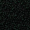 MIYUKI Round Rocailles Beads SEED-X0055-RR0156F-3