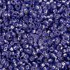 MIYUKI Round Rocailles Beads X-SEED-G009-RR0649-4