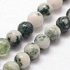 Natural Tree Agate Beads Strands G-N0192-01-2mm-3