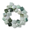 Natural Myanmar Jadeite Beads Strands G-A092-D01-03-3