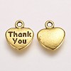 Tibetan Style Alloy Charms X-TIBEP-A15913-AG-RS-2