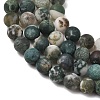 Natural Tree Agate Beads Strands G-T106-038-6