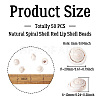 Natural Spiral Shell Red Lip Shell Beads BSHE-TA0002-02-4