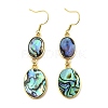 Brass Natural Abalone Shell Dangle Earrings EJEW-F388-01A-G-4