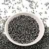 Glass Seed Beads X-SEED-S042-04B-31-2