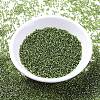 MIYUKI Delica Beads SEED-X0054-DB1207-2