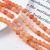 Natural Weathered Agate Beads Strands X-G-S259-05H-8mm-4