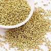 Cylinder Seed Beads SEED-H001-D06-1