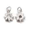 Brass Micro Pave Cubic Zirconia Charms KK-E068-VB237-1